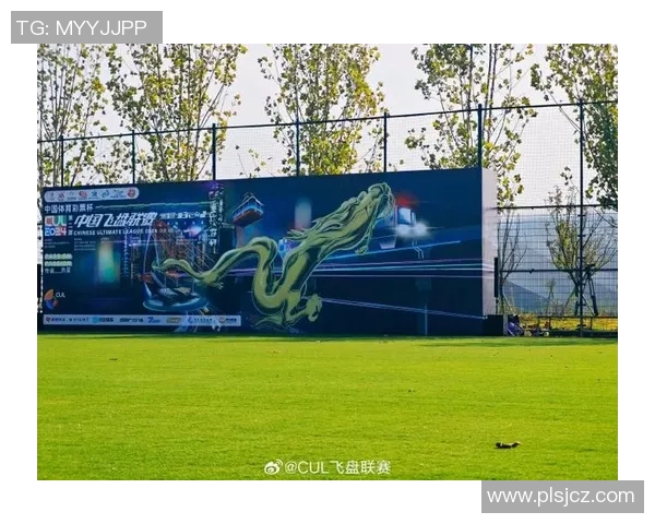 重庆飞盘队与北京飞盘队赛后战术分析与复盘探讨