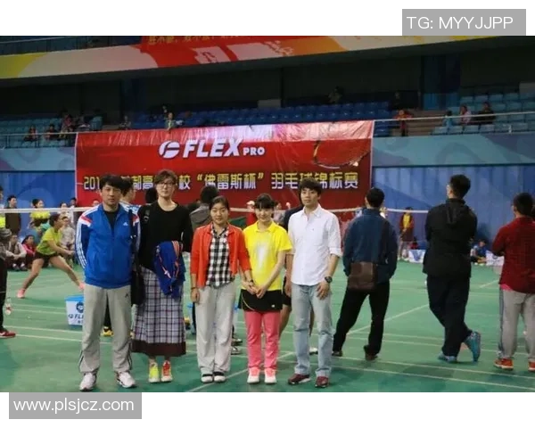 成都羽毛球队与深圳羽毛球队赛后复盘分析意识与战术的较量